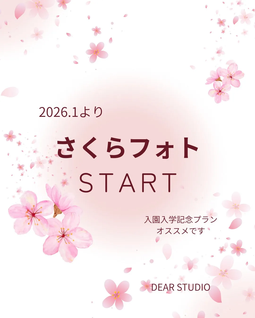 大人気さくらフォト🌸